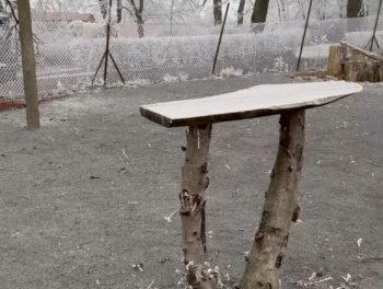 Komunitní pátio: Společná práce a podpora Nadace Partnerství obr. 176