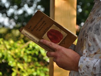 Ohlédnutí za podzimní slavností v komunitní zahradě. obr. 297