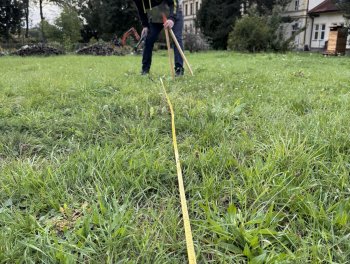 Konečně máme ovocný sad! obr. 304