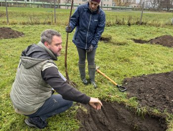Konečně máme ovocný sad! obr. 306