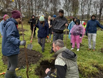 Konečně máme ovocný sad! obr. 307
