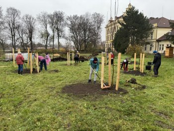 Konečně máme ovocný sad! obr. 309