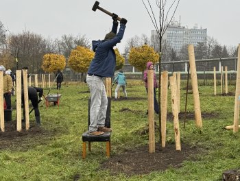 Konečně máme ovocný sad! obr. 310