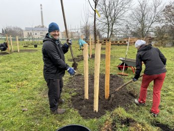 Konečně máme ovocný sad! obr. 311