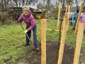 Konečně máme ovocný sad! obr. 312