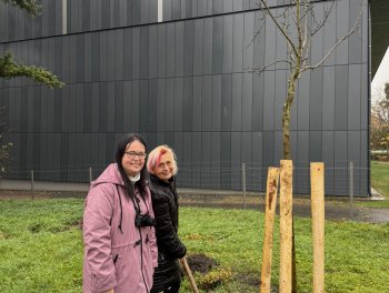 Konečně máme ovocný sad! obr. 314