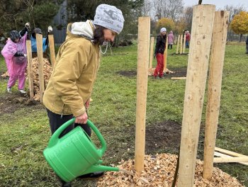 Konečně máme ovocný sad! obr. 316