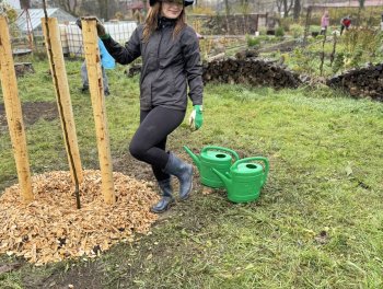 Konečně máme ovocný sad! obr. 317