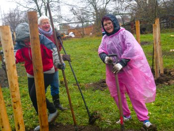 Konečně máme ovocný sad! obr. 319