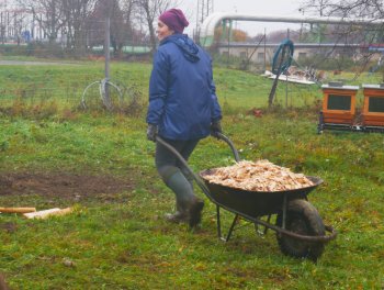 Konečně máme ovocný sad! obr. 322
