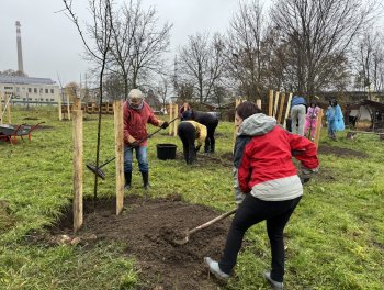 Konečně máme ovocný sad!