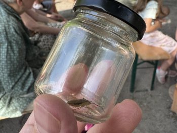 Biodiverzita začíná přímo v zahradě obr. 326