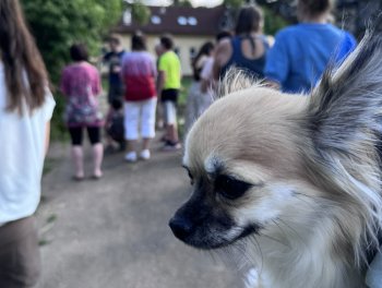 Biodiverzita začíná přímo v zahradě obr. 329
