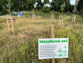 Nadace Partnerství podpořila záchyt dešťové vody v komunitní zahradě v Chrudimi. obr. 371
